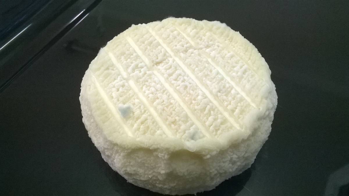 Fromages de chèvre affinés bio à Guebwiller et dans le Haut-Rhin Sélestat